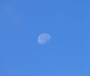 [Foto Mond]